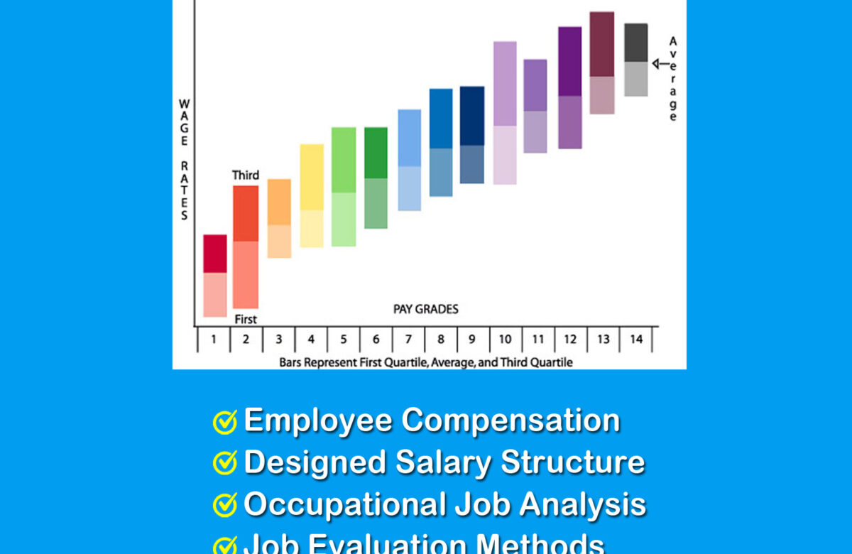  🏆Designing A Pay Structure 🏆