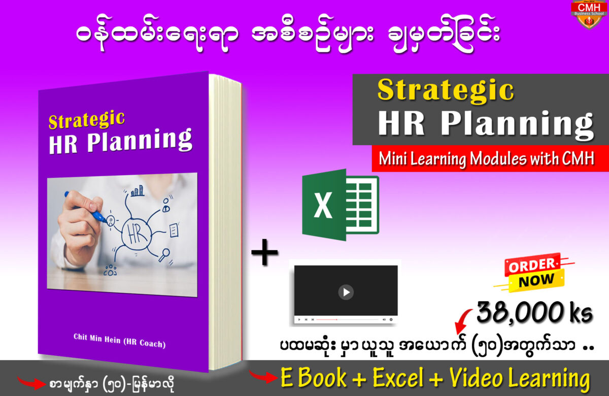  Strategic HR Planning (Ebook)